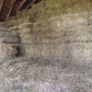 First Cutting 2025 Hay Bales